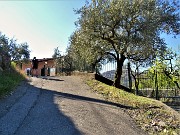 Monte Barro ad anello ‘fiorito’ da Galbiate-17apr23 - FOTOGALLERY